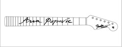 neck_AP